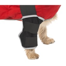 Warm Whiskers Strap Pack Set - Small in Black/Red - Closeouts