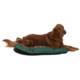 Waverly Fiesta Medallion Dog Bed