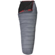 Wenger 45°F Visp Down Sleeping Bag - 800 Fill Power, Long Mummy in Grey - Closeouts