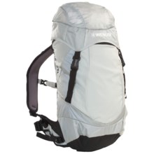 Wenger Onex 20L Backpack in Grey - Closeouts