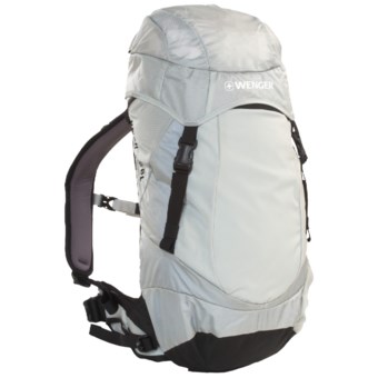 Wenger Onex 20L Backpack in Grey