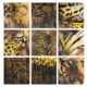 Willow Green Cheetah Study Art - Limited Edition, 9-Piece