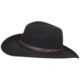 Wind River by Bailey Fernwood Cowboy Hat - Wool Felt, Cassidy Crown (For Men and Women)