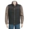 Charcoal Heather Woolrich Passage Down Vest - 550 Fill Power, Wool (For Men)