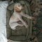  Jax & Bones Sleeper Dog Bed - Large, 39x32"