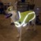  OllyDog Ollydog Dog Rain Coat - Large