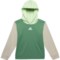 adidas Big Boys Color-Block Fleece Hoodie in Preloved Green