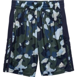 adidas Little Boys Core Camo AOP Shorts in Navy/Green