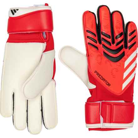 adidas Predator Match Goalkeeper Gloves in Pure Ruby