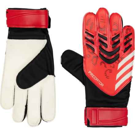 adidas Predator Training Goalkeepers Gloves in Black/Lucid Red
