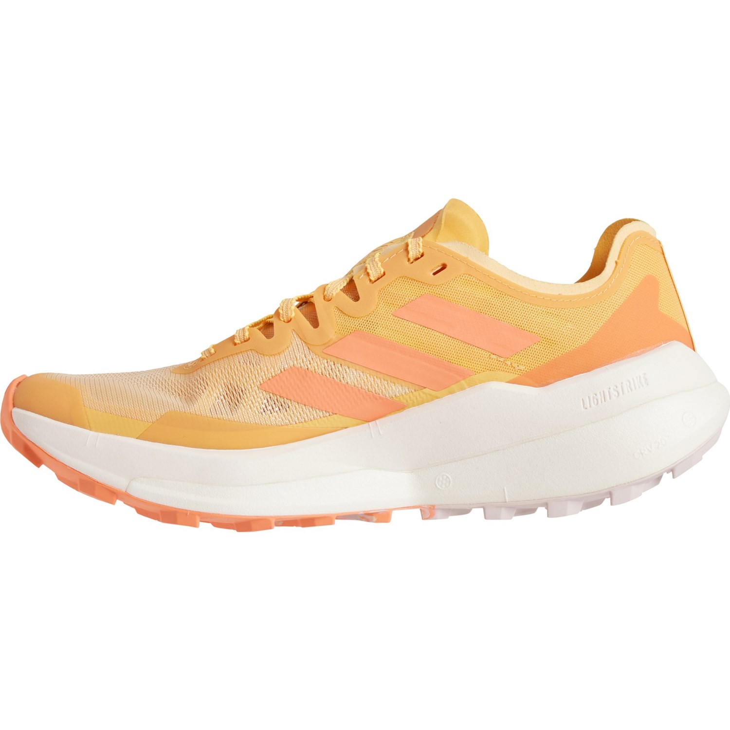 Adidas terrex agravic women's running online