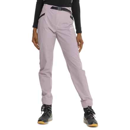 adidas Terrex Xperior Hiking Pants in Fig