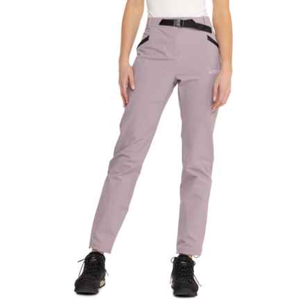 adidas Terrex Xperior Hiking Pants in Grey