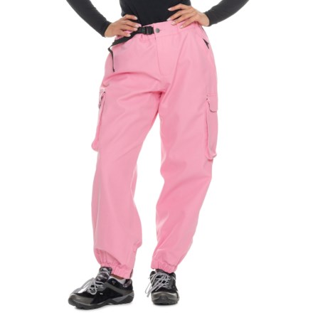 Women's AIRBLASTER Pants in Ski & Snowboard Pants average savings
