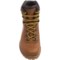 9274D_2 Alico Summit Light Leather Hiking Boots (For Men)