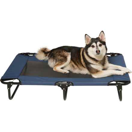 Apex Elevated Pet Cot - Large, 42x24x10” in Navy