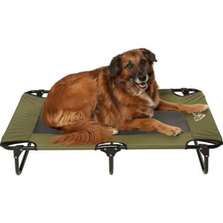 Apex Elevated Pet Cot - Large, 42x24x7” in Green