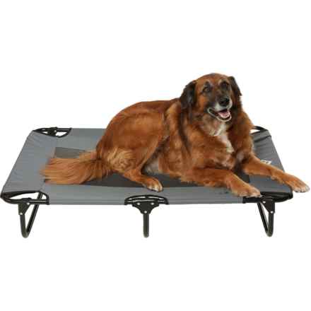 Apex Elevated Pet Cot - Large, 42x24x7” in Grey