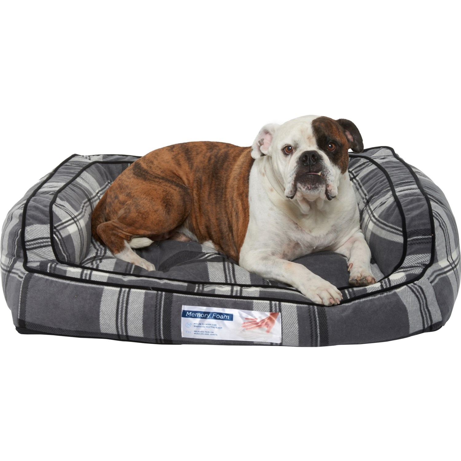arlee memory foam dog bed