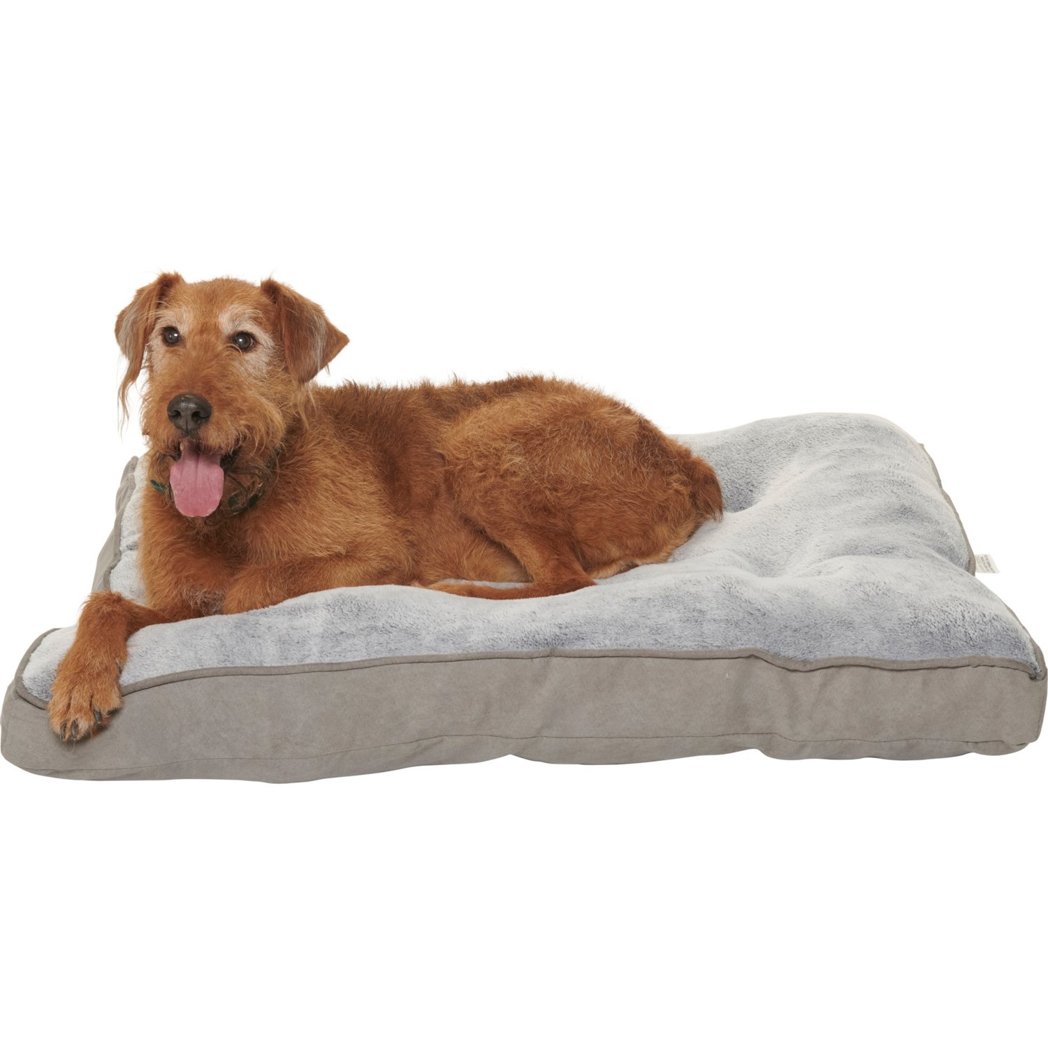 arlee memory foam dog bed