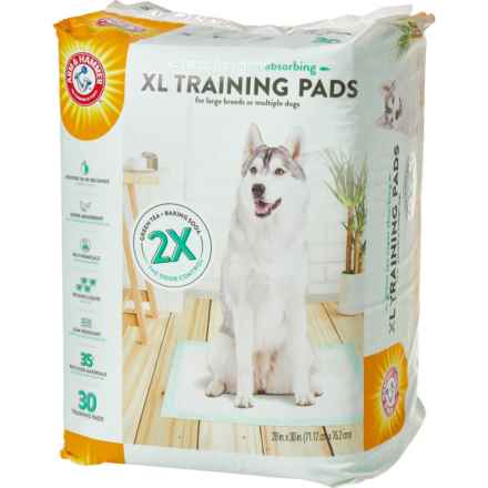 Arm & Hammer XL Puppy Training Pads - 30-Count, 28x30” in Green Tea