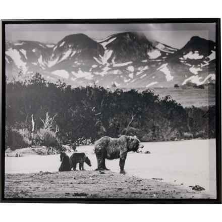 ART BRAND 18x22” Bear Framed Printed Canvas in Multi