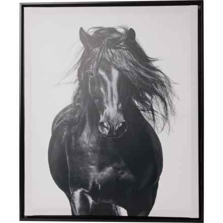 ART BRAND 18x22” Dark Horse Framed Printed Canvas in Multi