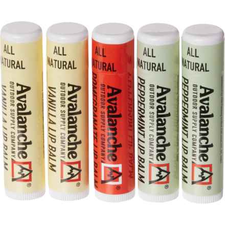 Avalanche Assorted Lip Balms - 5-Pack in Multi