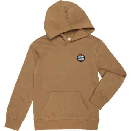 Avalanche Big Boys Graphic Hoodie in Caramel