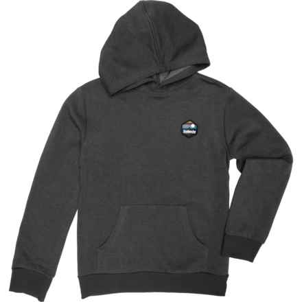 Avalanche Big Boys Graphic Hoodie in Dr Grey Heather