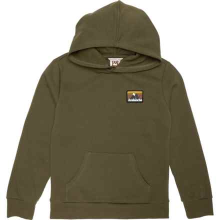Avalanche Big Boys Graphic Hoodie in Winter Moss