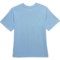 4NVKX_2 Avalanche Big Boys Logo T-Shirt - Short Sleeve