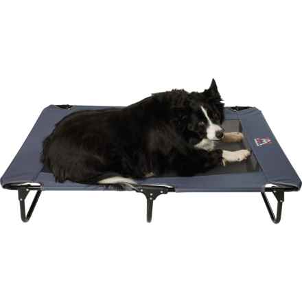 Avalanche Elevated Foldable Pet Cot - 48x32” in Blue/Black