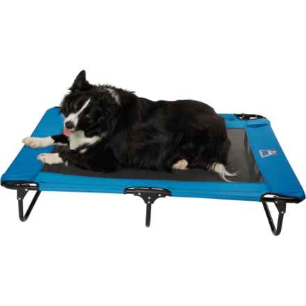 Avalanche Elevated Foldable Pet Cot - 48x32” in Blue
