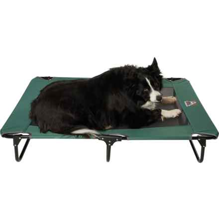 Avalanche Elevated Foldable Pet Cot - 48x32” in Green