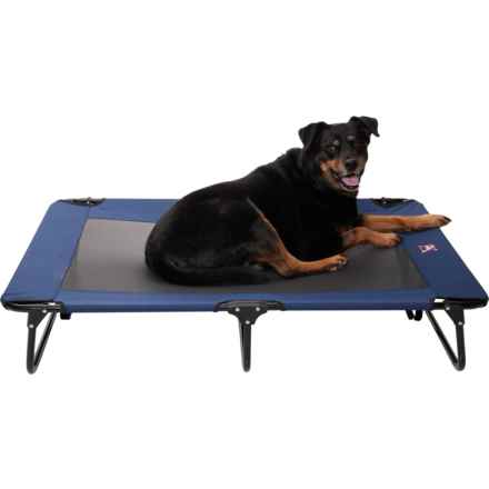 Avalanche Foldable Pet Cot - 32x48” in Blue/Black