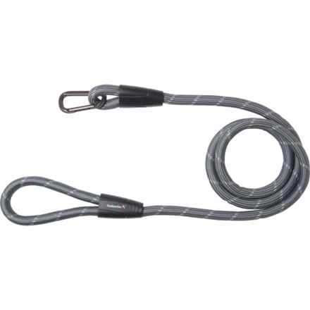 avalanche dog leash