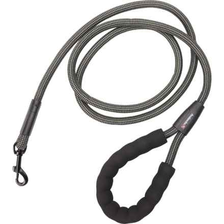 Avalanche Rope Dog Leash with Foam Handle - 72” in Sage