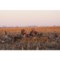7391V_4 Banded Two-Man Layout Ground Blind