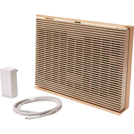 BANG & OLUFSEN Beosound Level Portable Wireless Home Speaker in Gold