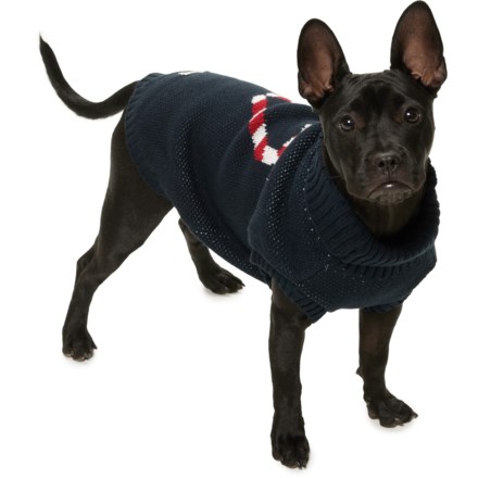 Barkley and finn dog coat hotsell