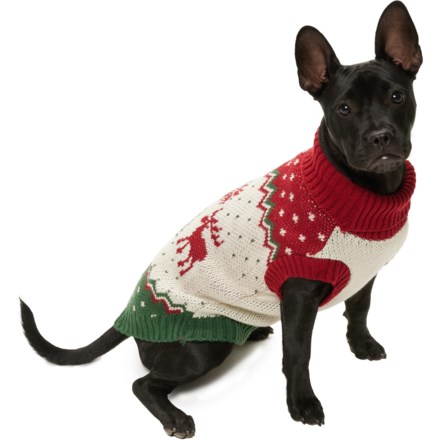 Jingles and joy dog sweater hotsell