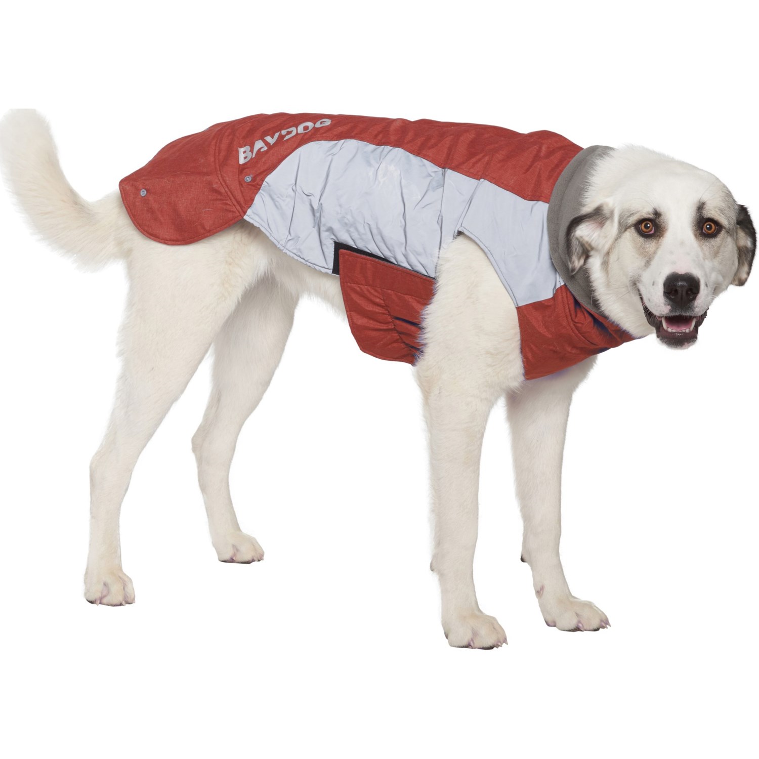 extra large dog coat