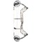 3WYCJ_2 Bear Whitetail Legend Pro Compound Bow - Right Hand
