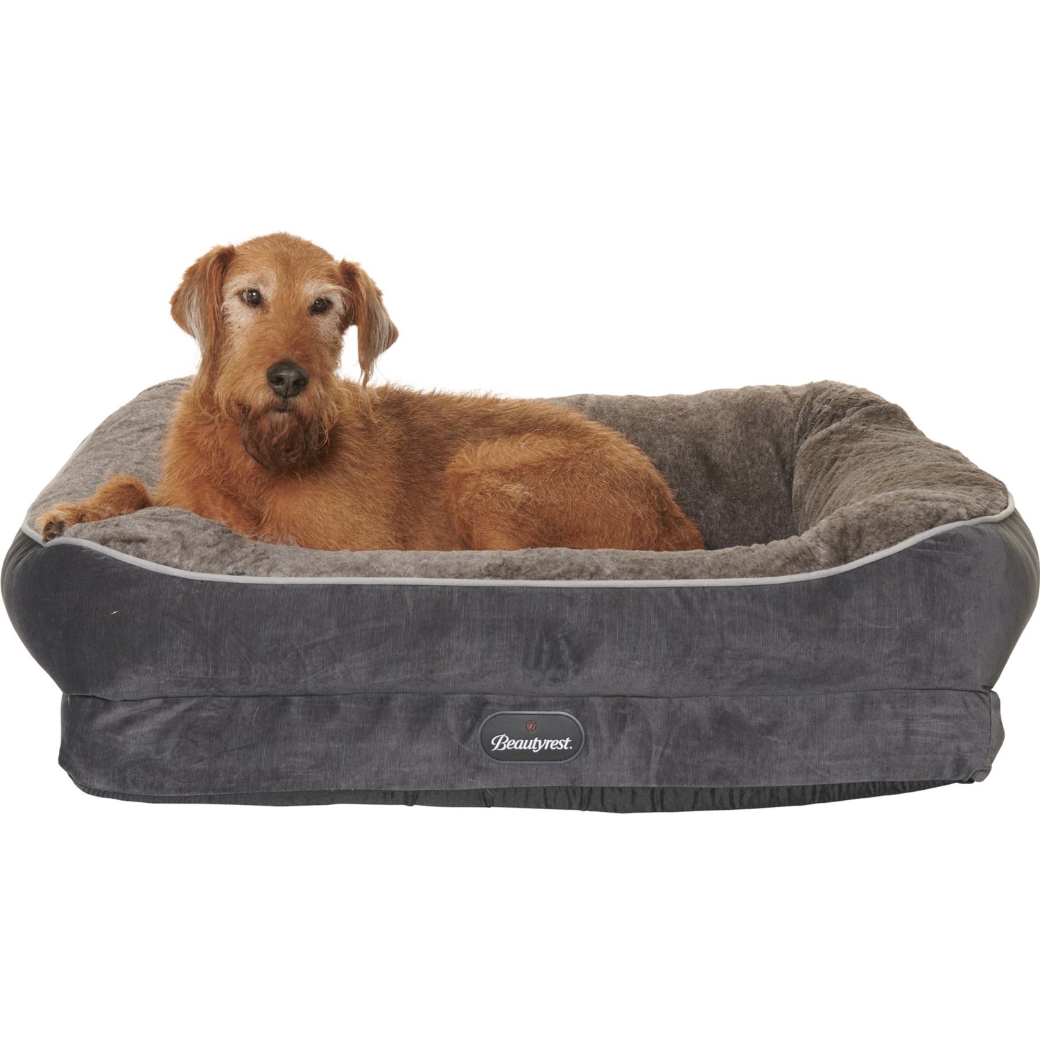 rae dunn dog bed