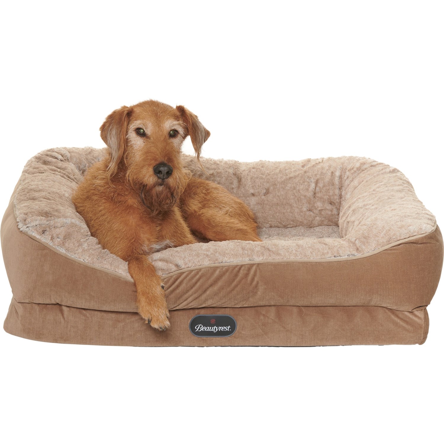 rae dunn pet bed