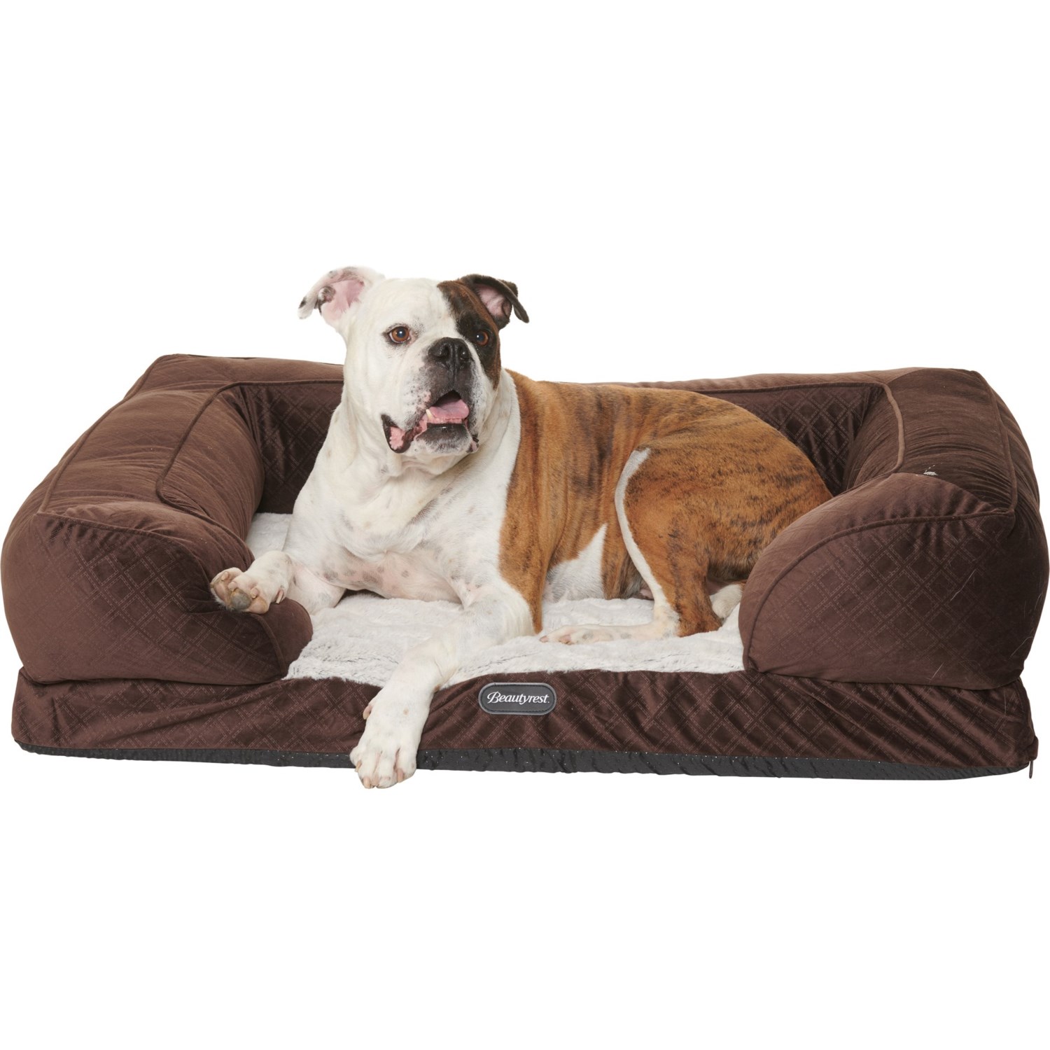 supreme dog bed
