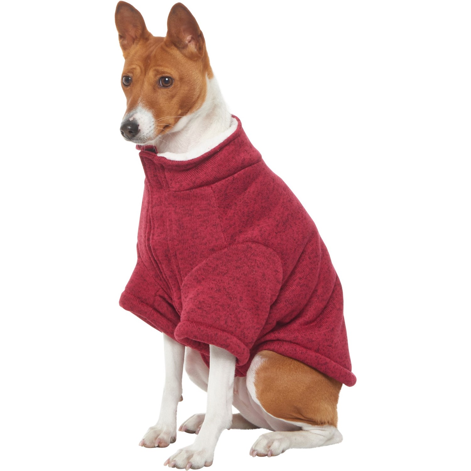 polartec dog fleece