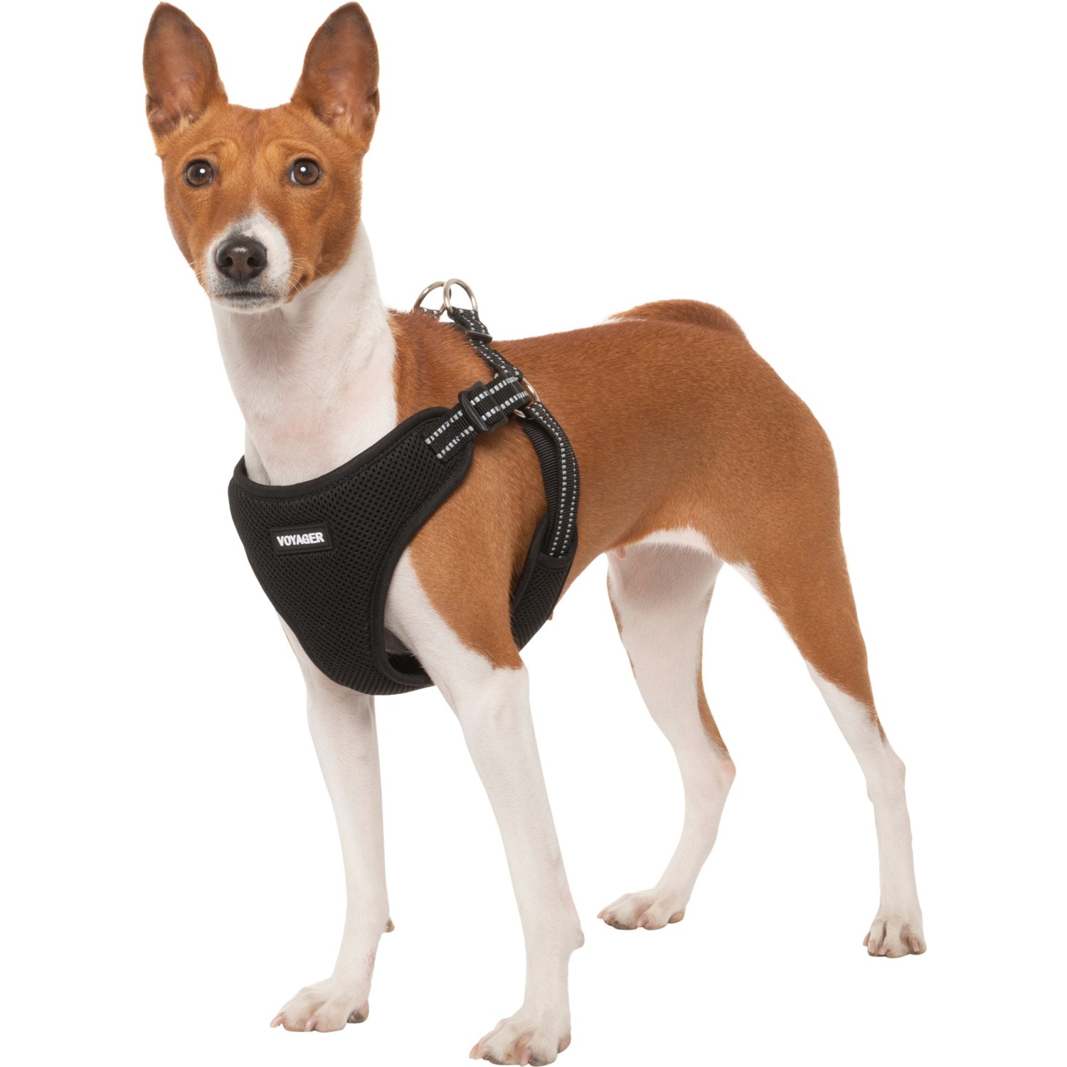 Best Pet Voyager Adjustable StepIn Dog Harness Save 33