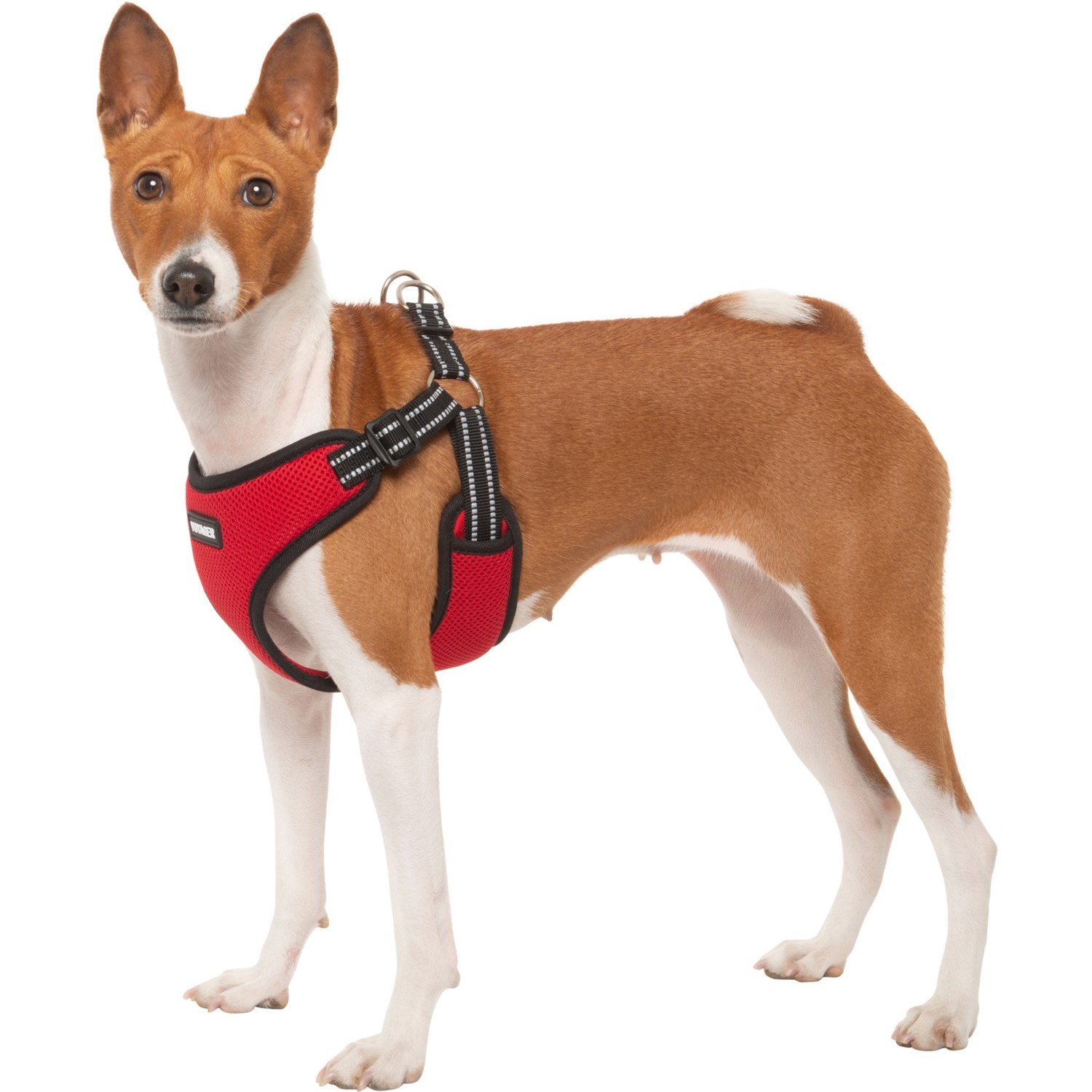 Best Pet Voyager Adjustable StepIn Dog Harness Save 33